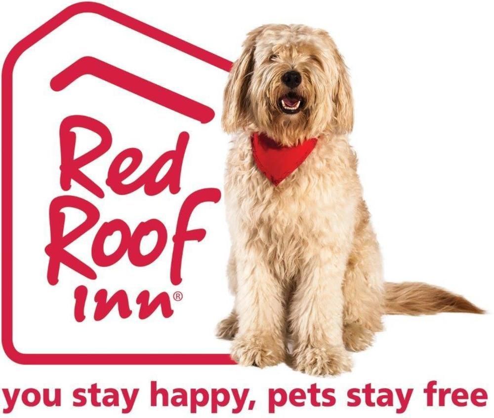 Red Roof Inn Plus+ Austin South Exteriér fotografie